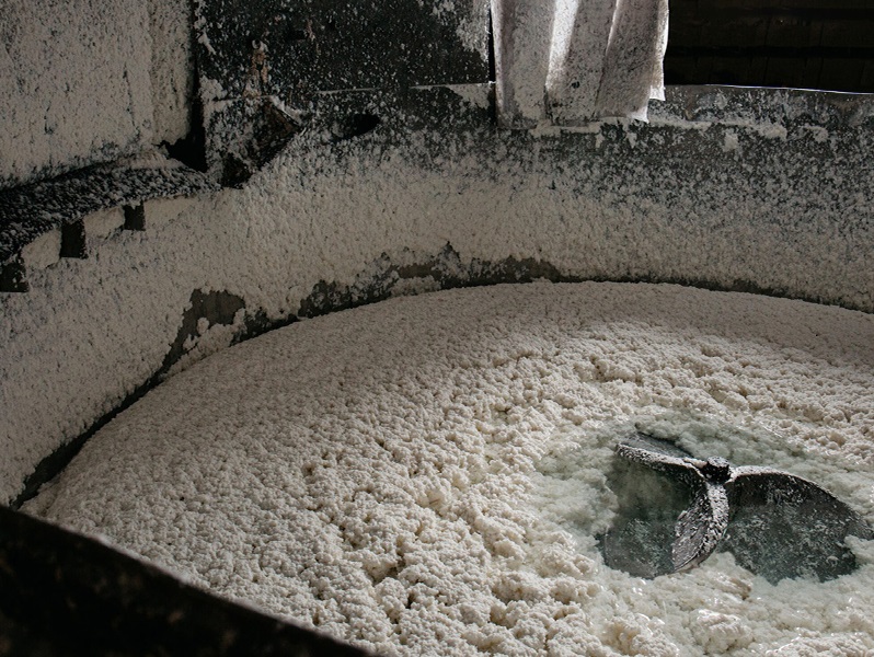 تولید خمیر کاغذ باطله